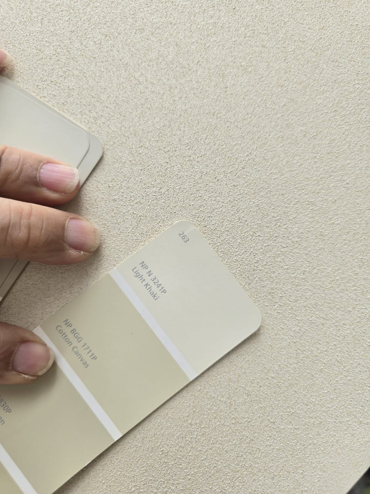Paint colour samples held against a textured wall finish.